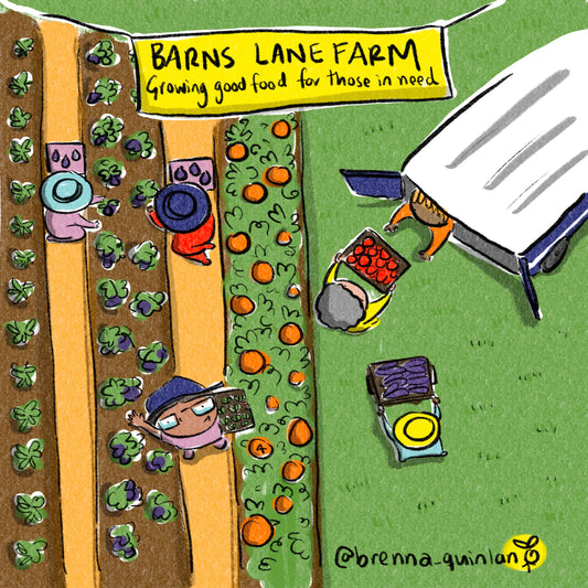 NFT - Fund a Farm - Barns Lane Charity Farm
